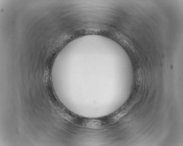 X0000059040463200511041641