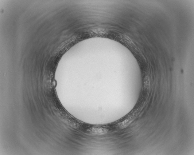 X0000059040464200511041641