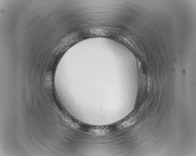 X0000059040466200511041641