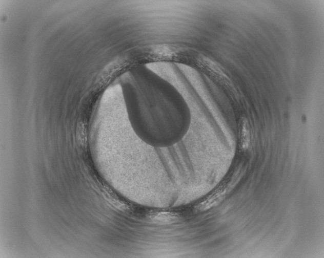 X0000059040467200511041641