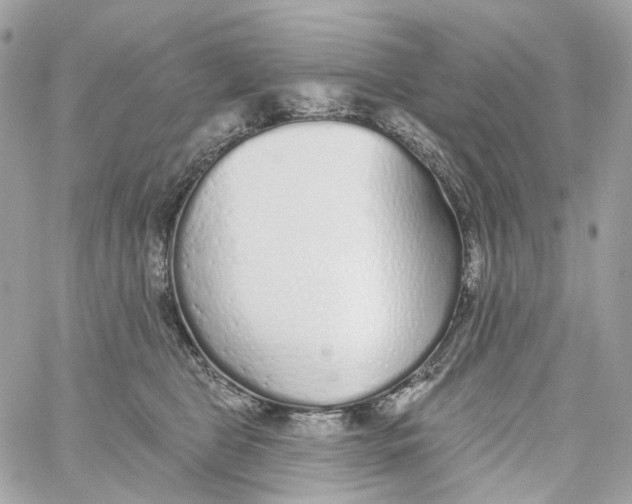 X0000059040469200511041641