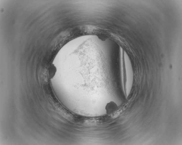 X0000059040470200511041641