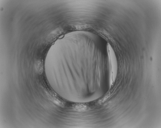 X0000059040471200511041641