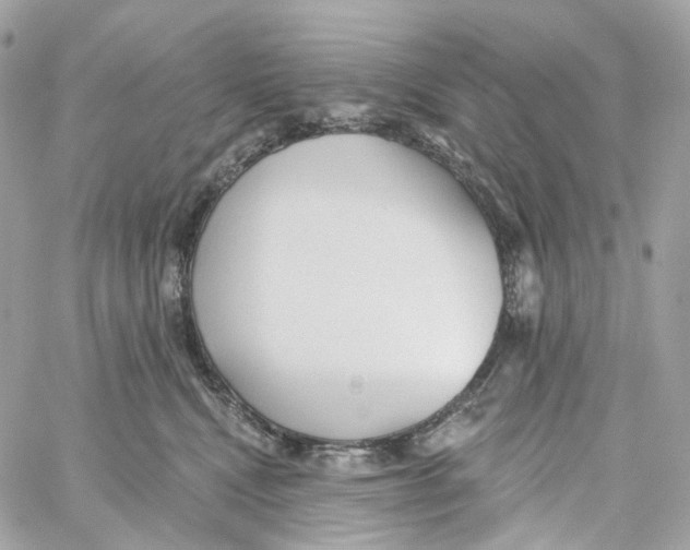 X0000059040472200511041641