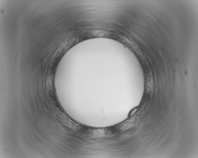 X0000059040473200511041641