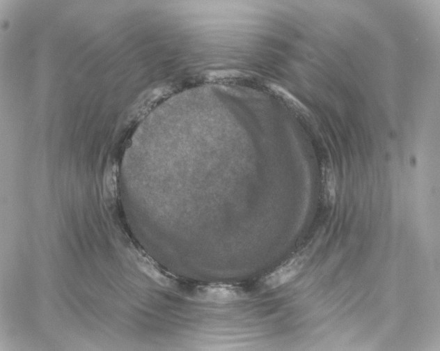 X0000059040475200511041641