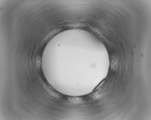 X0000059040476200511041641