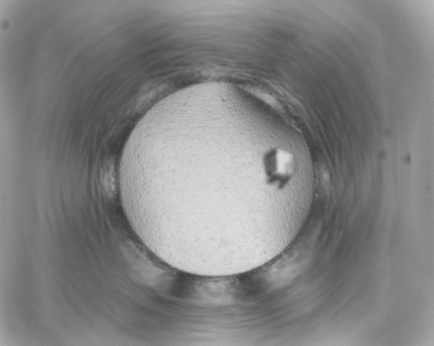 X0000059040479200511041641