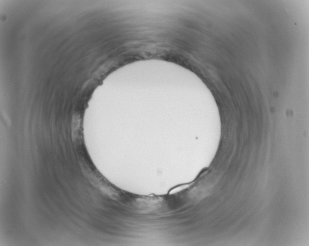 X0000059040480200511041641