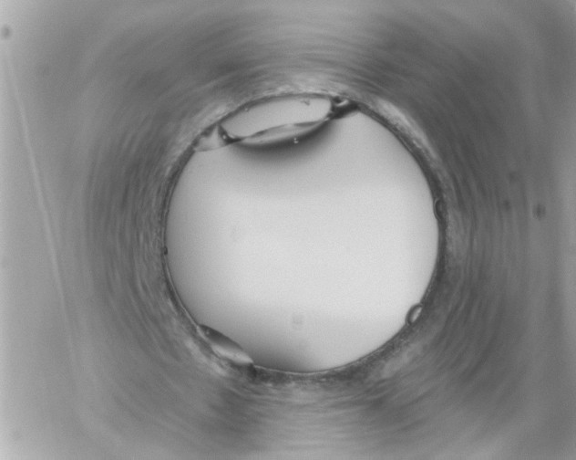 X0000059040481200511041640