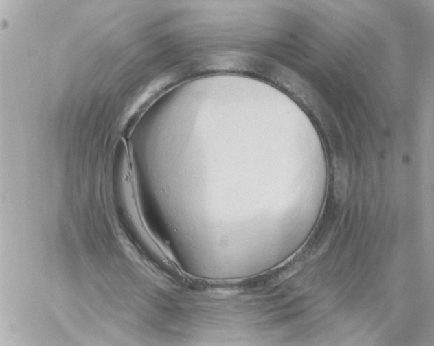 X0000059040482200511041640