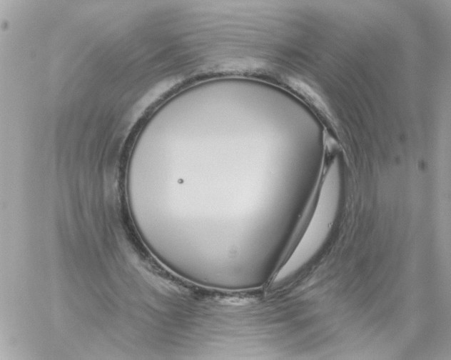 X0000059040483200511041640