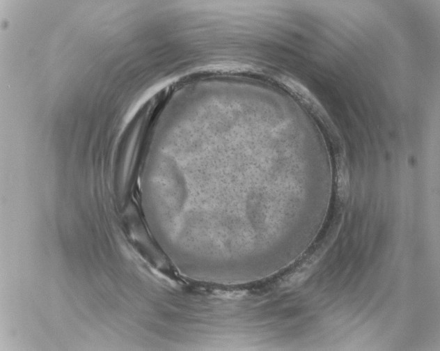 X0000059040484200511041640