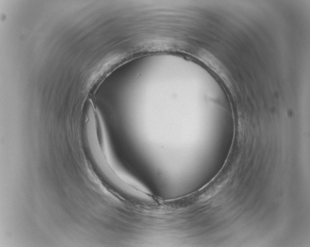 X0000059040485200511041640