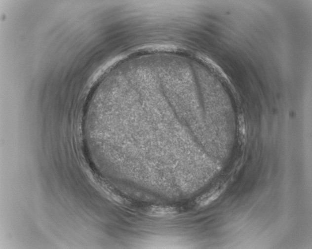 X0000059040487200511041640