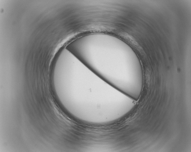 X0000059040488200511041640