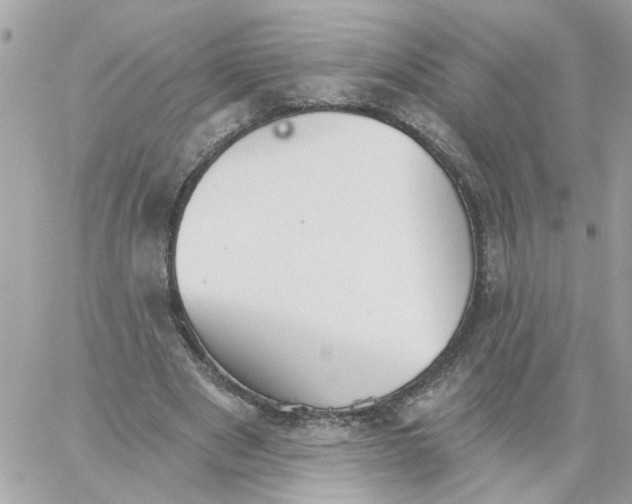 X0000059040489200511041640