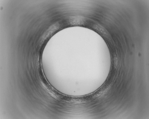 X0000059040490200511041640