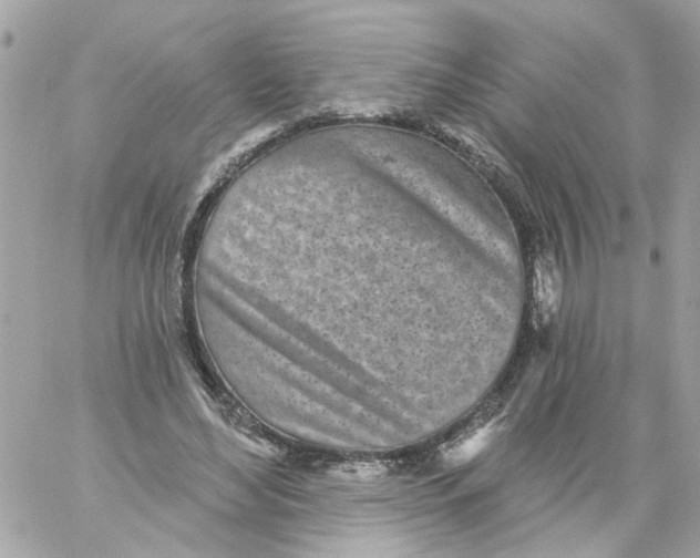 X0000059040492200511041640