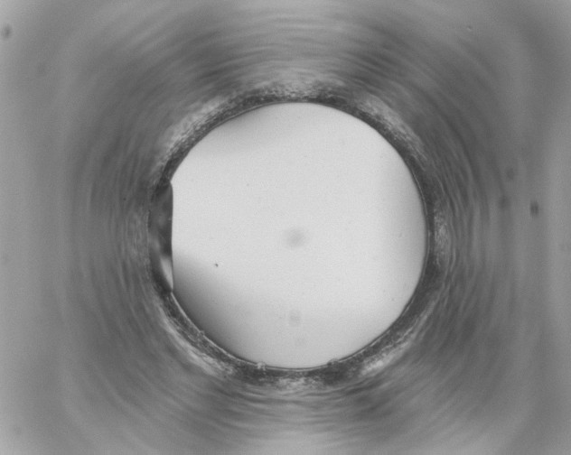 X0000059040493200511041640