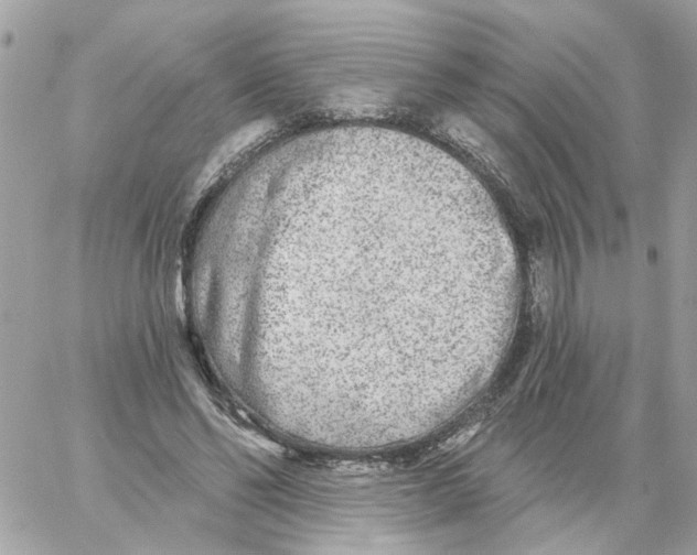 X0000059040494200511041640