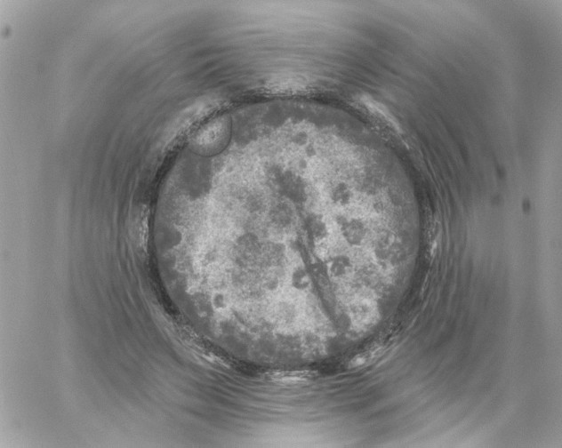 X0000059040495200511041640