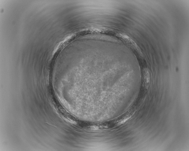 X0000059040496200511041640