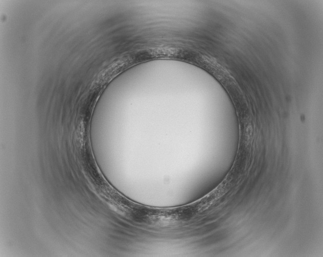 X0000059040498200511041640