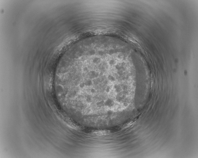 X0000059040499200511041640