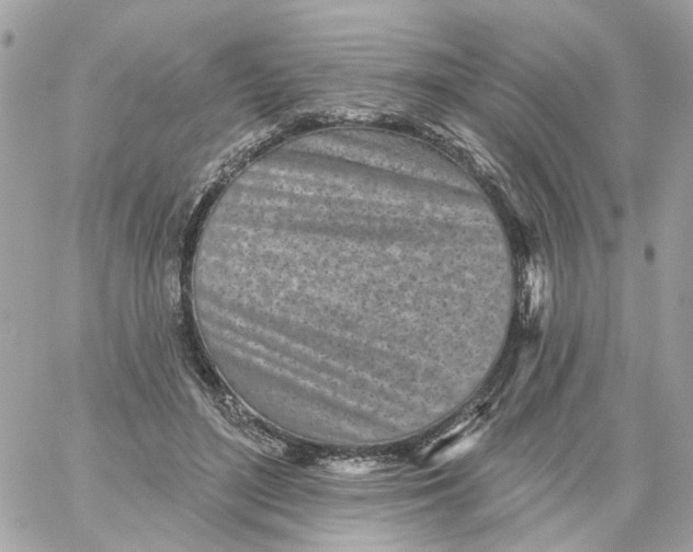 X0000059040500200511041640