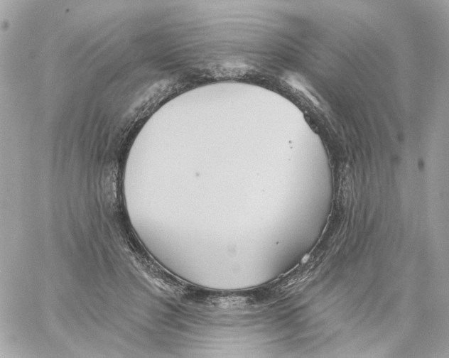 X0000059040501200511041640