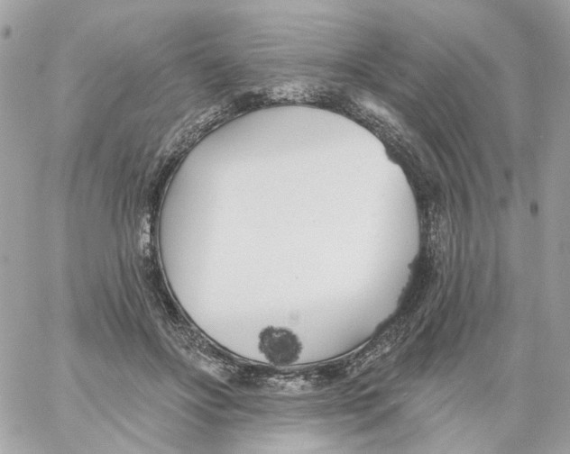 X0000059040502200511041640