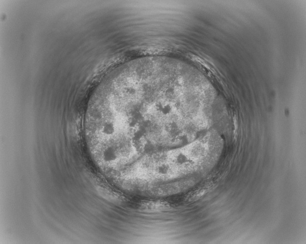 X0000059040503200511041640