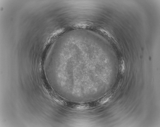 X0000059040504200511041640