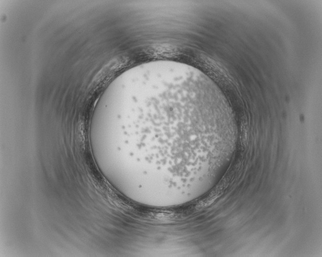 X0000059040506200511041640