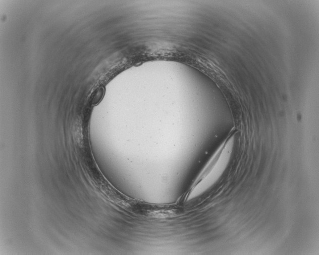 X0000059040508200511041640