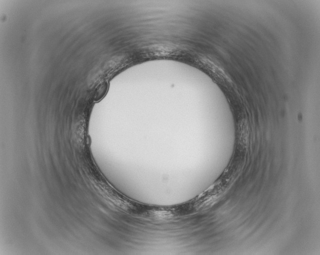 X0000059040509200511041640