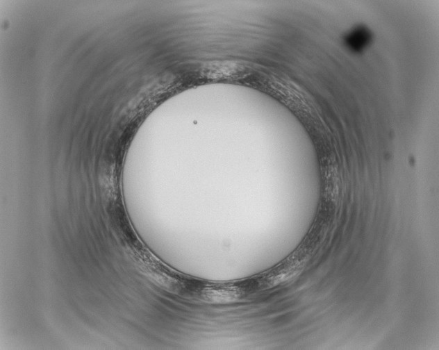 X0000059040510200511041640