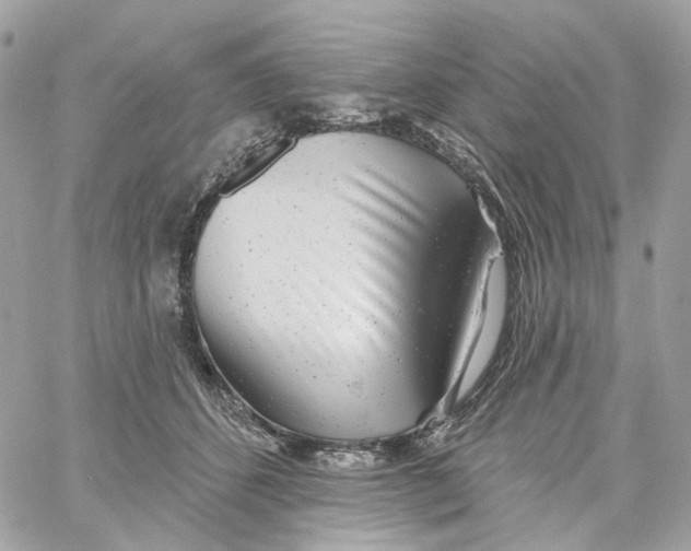 X0000059040512200511041640