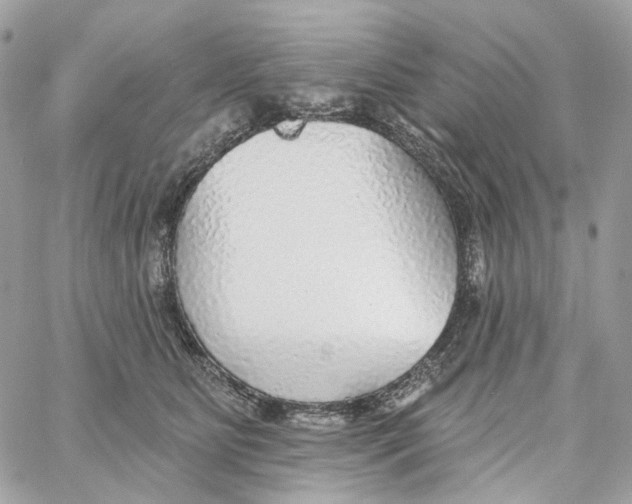 X0000059040515200511041640