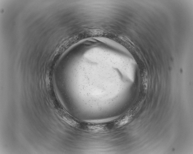 X0000059040516200511041640