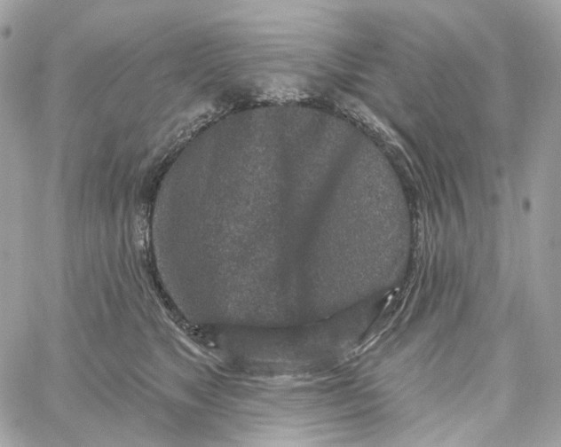 X0000059040517200511041640