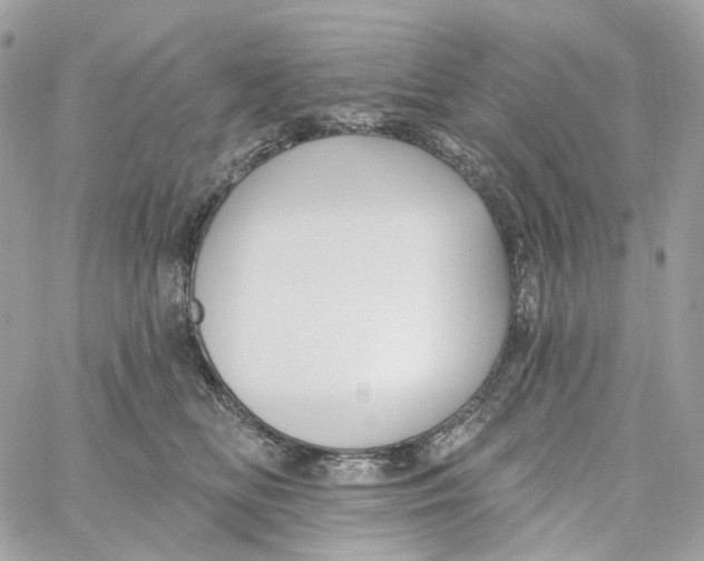 X0000059040518200511041640