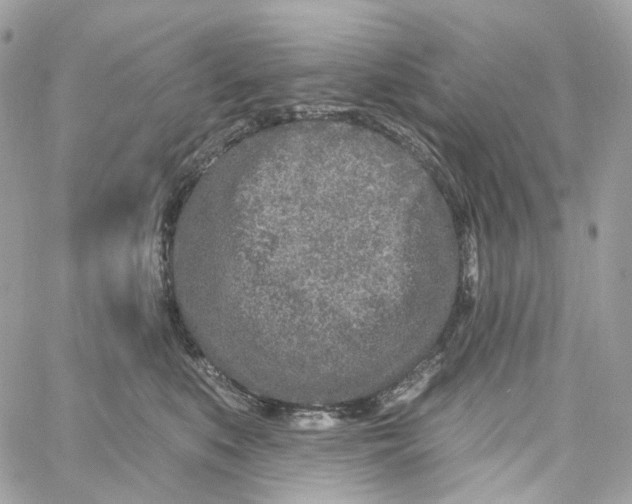 X0000059040519200511041640