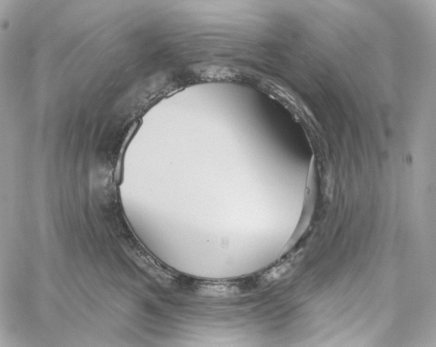 X0000059040521200511041640