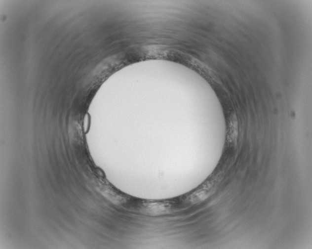 X0000059040522200511041640