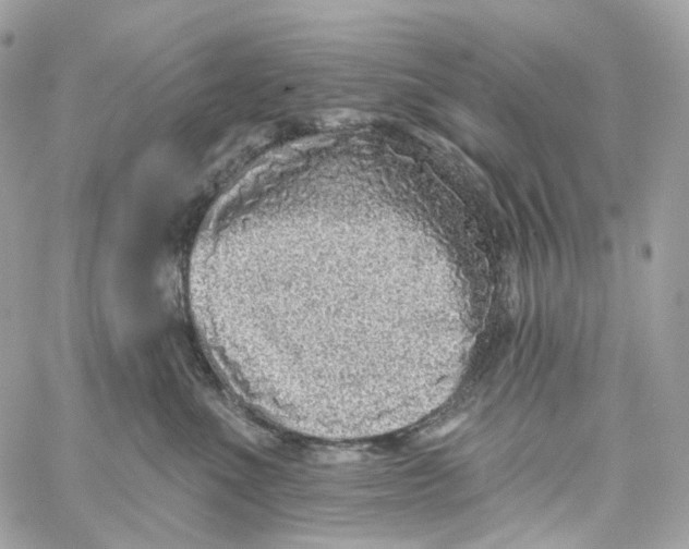 X0000059040523200511041640