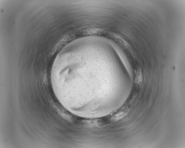 X0000059040524200511041640