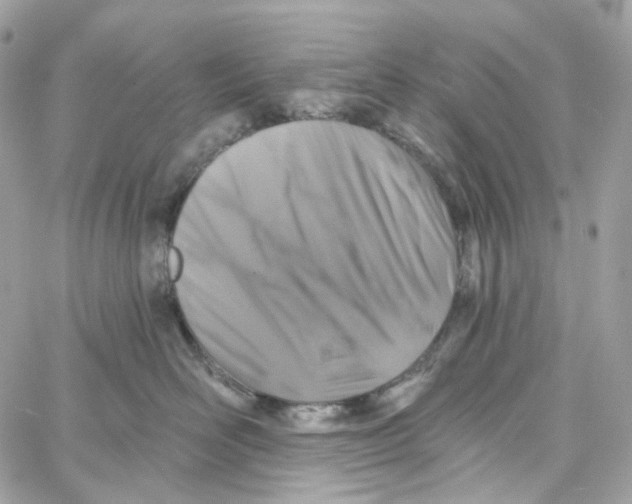 X0000059040526200511041640