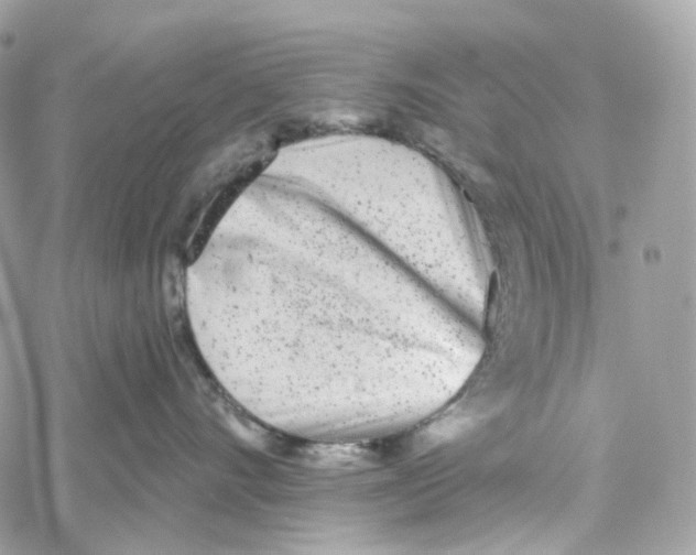 X0000059040528200511041640